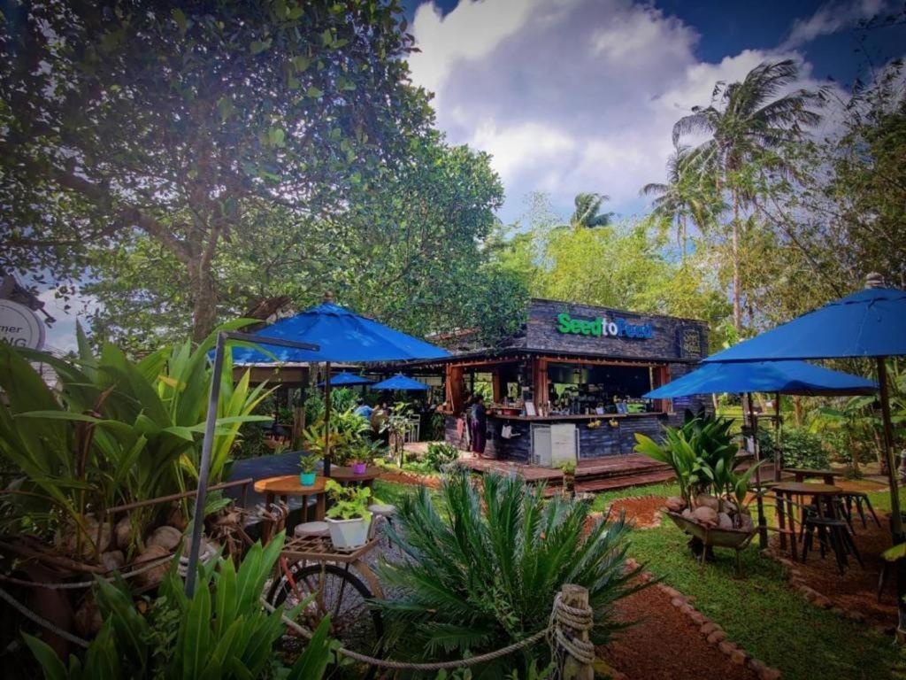 The Willow Phangan كو بانغان المظهر الخارجي الصورة
