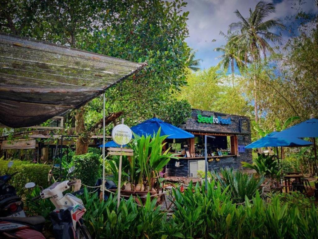 The Willow Phangan كو بانغان المظهر الخارجي الصورة