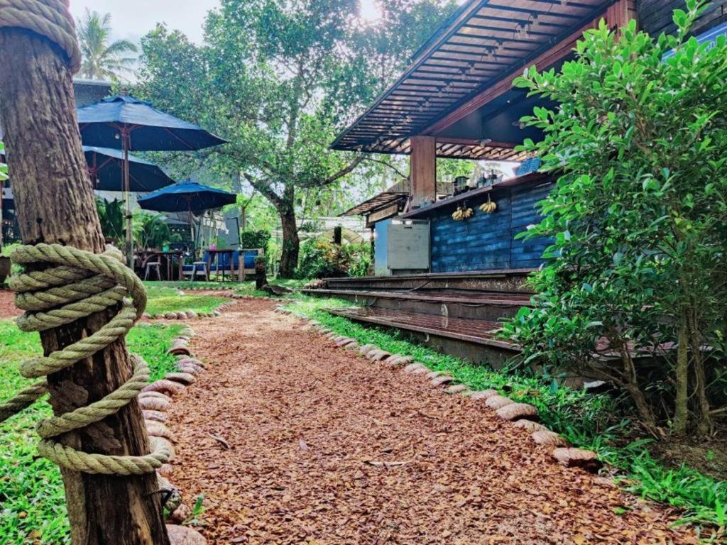 The Willow Phangan كو بانغان المظهر الخارجي الصورة