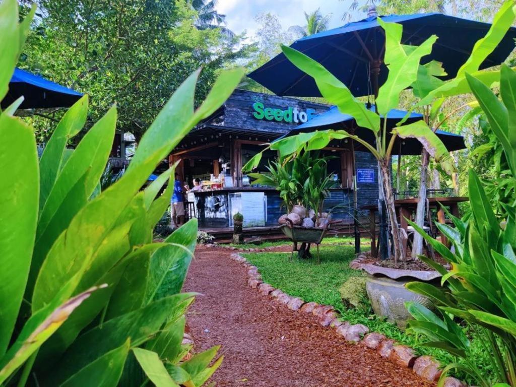 The Willow Phangan كو بانغان المظهر الخارجي الصورة